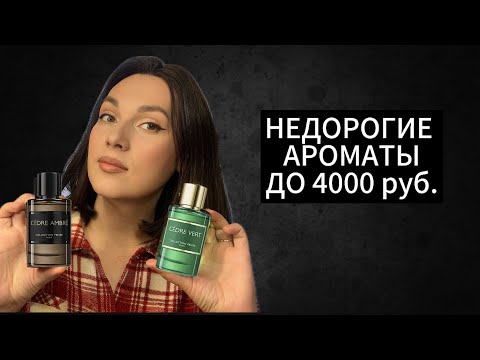 Видео: НЕДОРОГИЕ АРОМАТЫ ДО 4000 РУБ 🥰 ВАУ ИЛИ ПРОВАЛ? ⁉️🤔