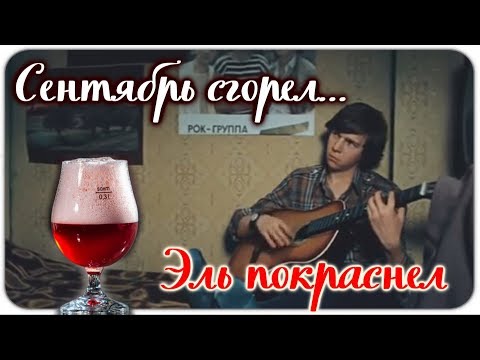 Видео: Как сварить пиво дома.Пивоварим.Ирландский красный эль.