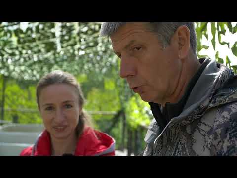 Видео: 4  Планета рыбака. Кольский хариус