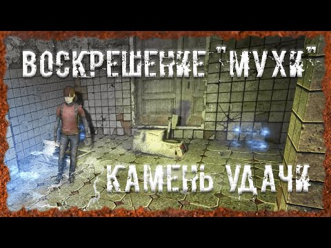 Видео: Воскрешение "Мухи" Варка артефакта "Камень удачи" S.T.A.L.K.E.R. ОП - 2.2 Народная Солянка