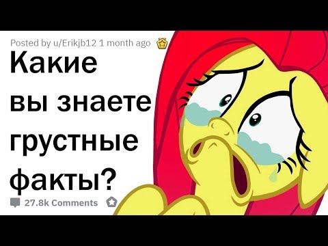 Видео: ЭТИ ФАКТЫ ЗАСТАВЯТ ТЕБЯ РЫДАТЬ 😢