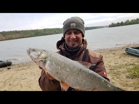 Видео: Рибалка Дністер. За Осіннім Жерехом