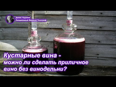 Видео: Кустарные вина - можно ли сделать приличное вино без винодельни?