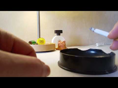 Видео: Дегустация сорта Берли ТN-90