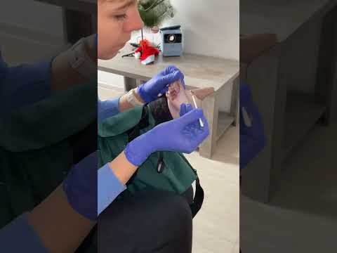 Видео: Чистка ушей. Объясняю. #кошка #собака #ветеринар