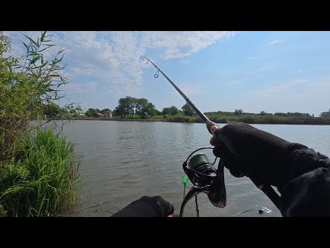 Видео: Разловил новый водоём! Летняя рыбалка на реке Понура! 