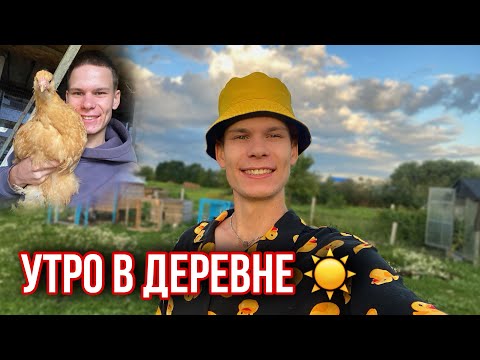 Видео: Как проходит утро Молодого Фермера в Деревне🏡  Птица, козы, поросята, страусы, кролики 🐰🐥