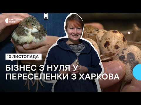 Видео: Перепелина ферма на Львівщині: як жінка відкрила бізнес та створила сімейну справу