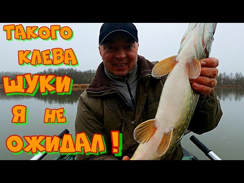 Видео: ПОДОБРАЛ Правильную ПРИМАНКУ и Наловил ПОЛНЫЙ КУКАН РЫБЫ ! Ловля ЩУКИ на СПИННИНГ Поздней Осенью .