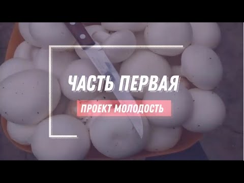 Видео: Шампиньоны. Выращивание шампиньонов Личный опыт, часть первая👍