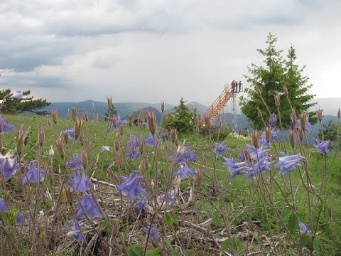 Видео: Богатствата на Западни Родопи! The Treasures of Western Rhodopes!