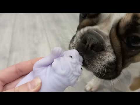 Видео: пов:нечего снять