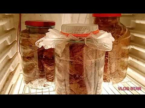 Видео: обзор ферментатора Райский табачок