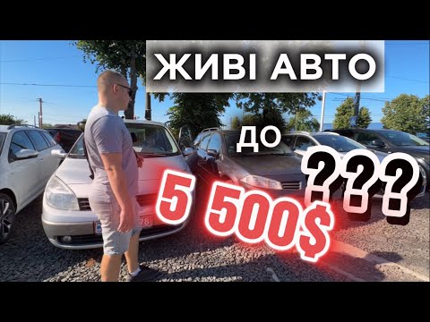 Видео: Авторинок Луцьк//Ціни на БЮДЖЕТНІ авто до 5 500$#автопідбір