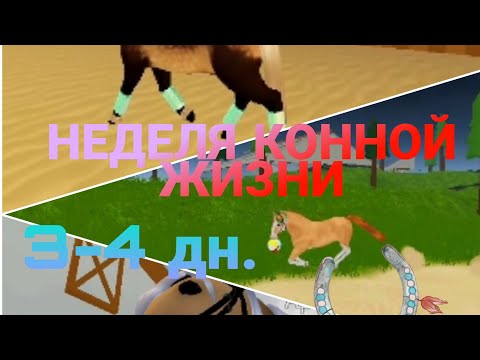 Видео: НЕДЕЛЯ КОННОЙ ЖИЗНИ! [3-4 дн.] (2 ч.)