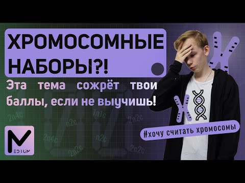 Видео: Хромосомные наборы / За 15 минут! / MEDIUM биология ЕГЭ 2025