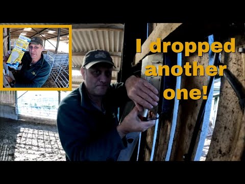 Видео: 25/10/25 (вечер) Новые лампочки для переборок.