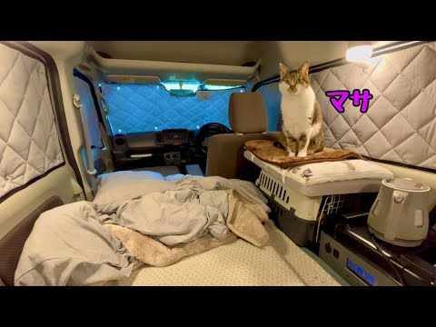 Видео: [Автокемпинг с кошками] Первая ночь в машине с комплектом постельного белья за 27 долларов.