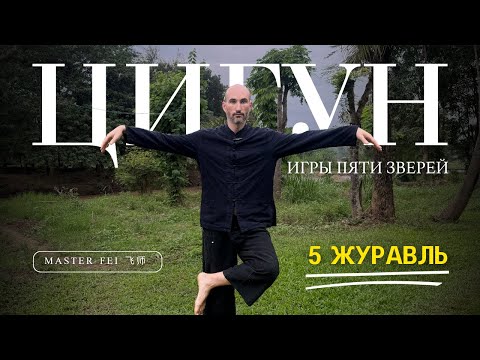 Видео: ЖУРАВЛЬ - ЦИГУН - ИГРЫ ПЯТИ ЗВЕРЕЙ