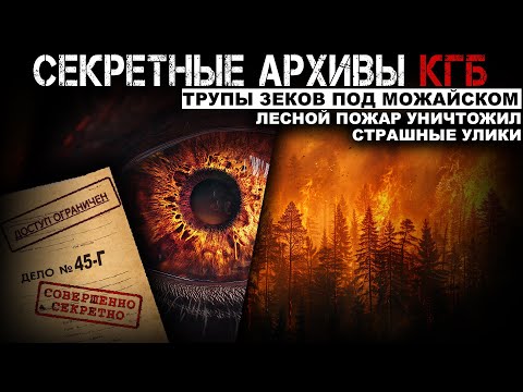 Видео: СЕКРЕТНЫЕ АРХИВЫ КГБ. Дело №45 Г. Грибовница. СЕКРЕТНЫЕ РАССЛЕДОВАНИЯ