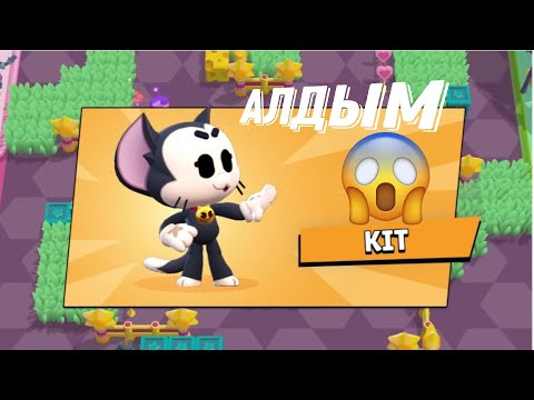 Видео: КИТТІ АЛДЫМ😱 КИТТІ АЛҒАНЫМА ӨКІНІП ҚАЛДЫМ😔