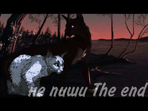 Видео: коты воители: Голубка и Когтегрив " Не пиши the end" клип