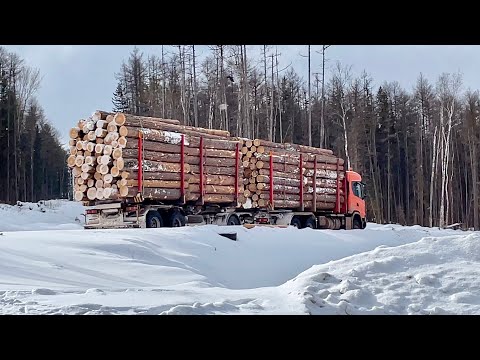 Видео: ЗИМНИК «побежал». Первое потепление. Поломки.