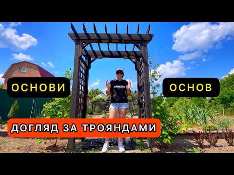 Видео: Догляд за трояндами .
