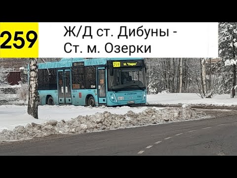 Видео: Автобус 259. Ж/Д ст. Дибуны - Ст. м. Озерки