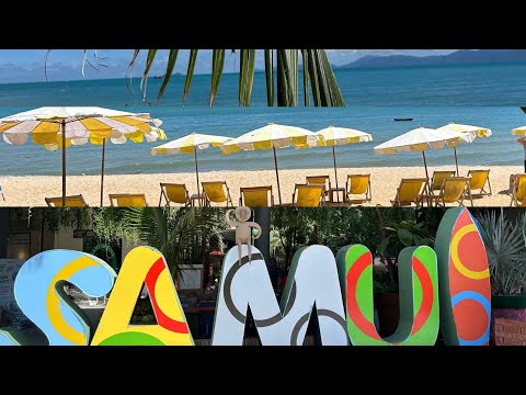 Видео: ПЛЯЖИ НА САМУИ🏝️MAENAM BEACH ЛЕЖАК ЗА 20$?!⛱️ CENTRAL FESTIVAL SAMUI🛍️УЖИН НА ЧАВЕНГЕ,ПОЧЕМ РЫБКА?🐟