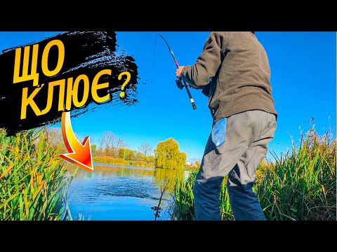 Видео: ВЕЧІРНЯ ЛОВЛЯ НА ПОПЛАВОК ВОСЕНИ/ ЩО ЗАРАЗ КЛЮЄ?!