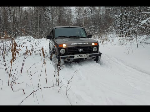 Видео: Тестирую обновку на Ниве, зимняя резина Viatti Bosco nordico по снежной целине, мои впечатления!