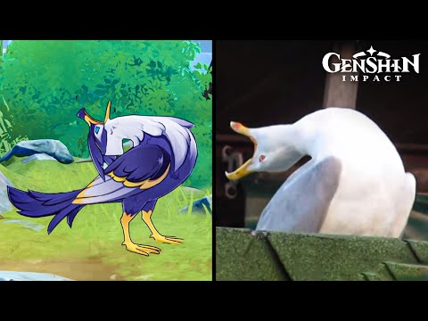 Видео: Интересные вещи в Фонтейн Геншин 4.0