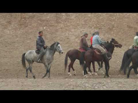Видео: Бахтиор човандоз бачаи шомурод човандоз