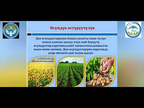 Видео: Дүйнөлүк айыл чарба географиясы