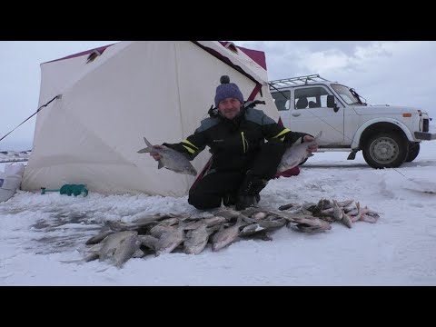 Видео: Вот это открытие 2024г.! Рыбалка с ночевкой на Лебяжье!