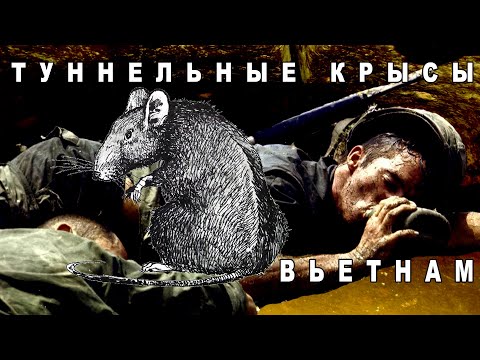 Видео: Подземные войны (Туннельные крысы)