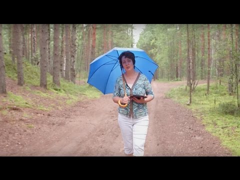 Видео: 348. Хлеб на каждый день. Сила слов.