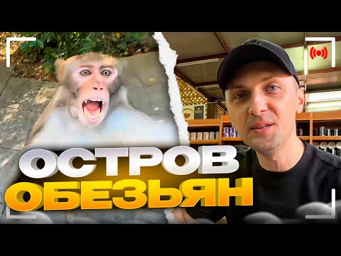 Видео: УГАРНАЯ ПРОГУЛКА ПО ОСТРОВУ ОБЕЗЬЯН!