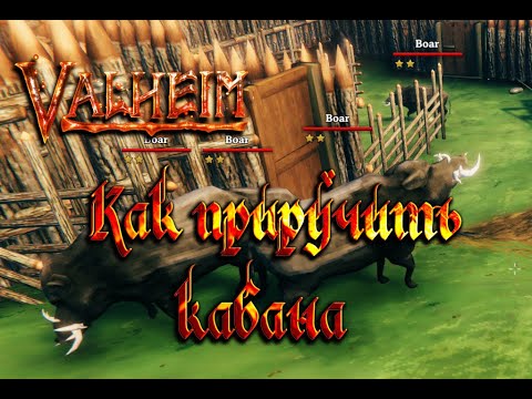 Видео: Valheim Гайд ► Как приручить кабана ► Где найти элитного кабана ► Лучший обзор