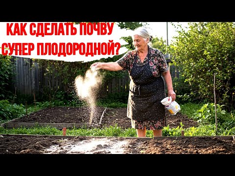 Видео: Как сделать почву супер плодородной?