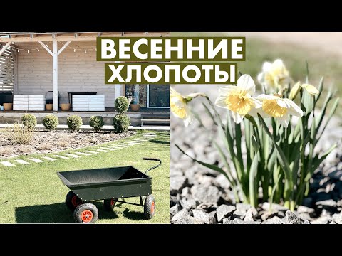 Видео: 👩‍🌾 ВЕСЕННИЕ РАБОТЫ ВО ДВОРЕ 🏡 УХОД ЗА ГАЗОНОМ 🌾 КАКИЕ ЦВЕТЫ БУДУ ВЫРАЩИВАТЬ | ОБРЕЗАЮ ЛАВАНДУ