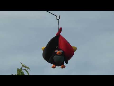 Видео: ЭФФЕКТИВНЫЙ ОТПУГИВАТЕЛЬ ПТИЦ! Просто и сердито