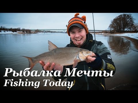 Видео: Рыбалка Мечты и талисман Фугу - Fishing Today