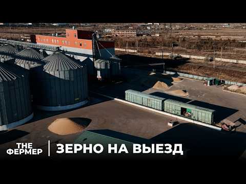 Видео: Зерно на выезд: Правда о Зерновом Рынке в Казахстане!