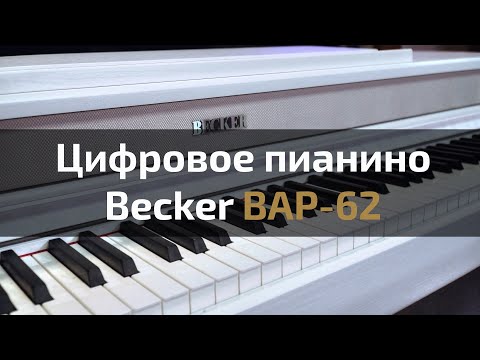 Видео: Цифровое пианино Becker BAP-62 | Обзор с Евгением Кобылянским