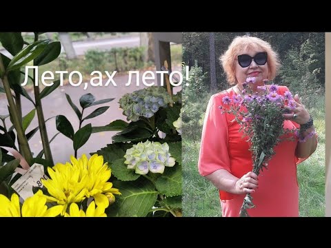 Видео: ОБЗОР/НАКОНЕЦ ВЫБРАЛАСЬ В МАГАЗИНЫ/ КУПИЛА ТЕЛЕФОН/ ПРИСМОТРЕЛА ПОСТЕЛЬНОЕ БЕЛЬЁ/ ВЫБРАЛА ЦВЕТЫ