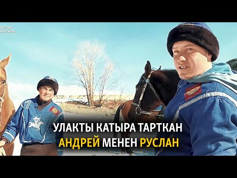 Видео: Улакты катыра тарткан Андрей менен Руслан