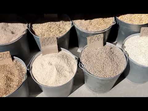 Видео: Уштобе. Обзор районной больницы / обзор цены на сельхоз  корма и дрова