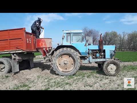 Видео: Подкормка озимой пшеницы, ротационная мотыга.